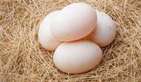 Ăn trứng vịt có tốt không? 1 quả trứng vịt bao nhiêu calo?